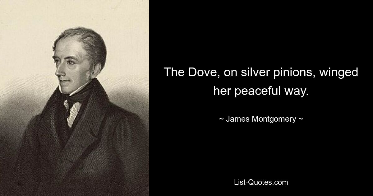 The Dove, on silver pinions, winged her peaceful way. — © James Montgomery