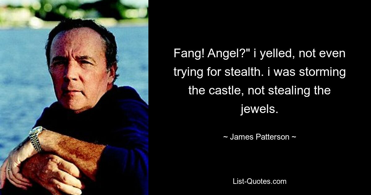 Fang! Angel?" i yelled, not even trying for stealth. i was storming the castle, not stealing the jewels. — © James Patterson