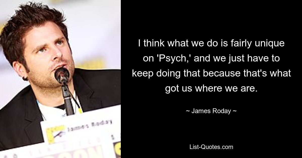 I think what we do is fairly unique on 'Psych,' and we just have to keep doing that because that's what got us where we are. — © James Roday