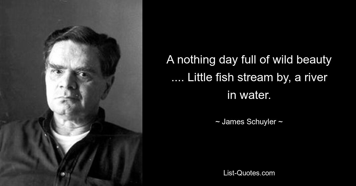 A nothing day full of wild beauty .... Little fish stream by, a river in water. — © James Schuyler