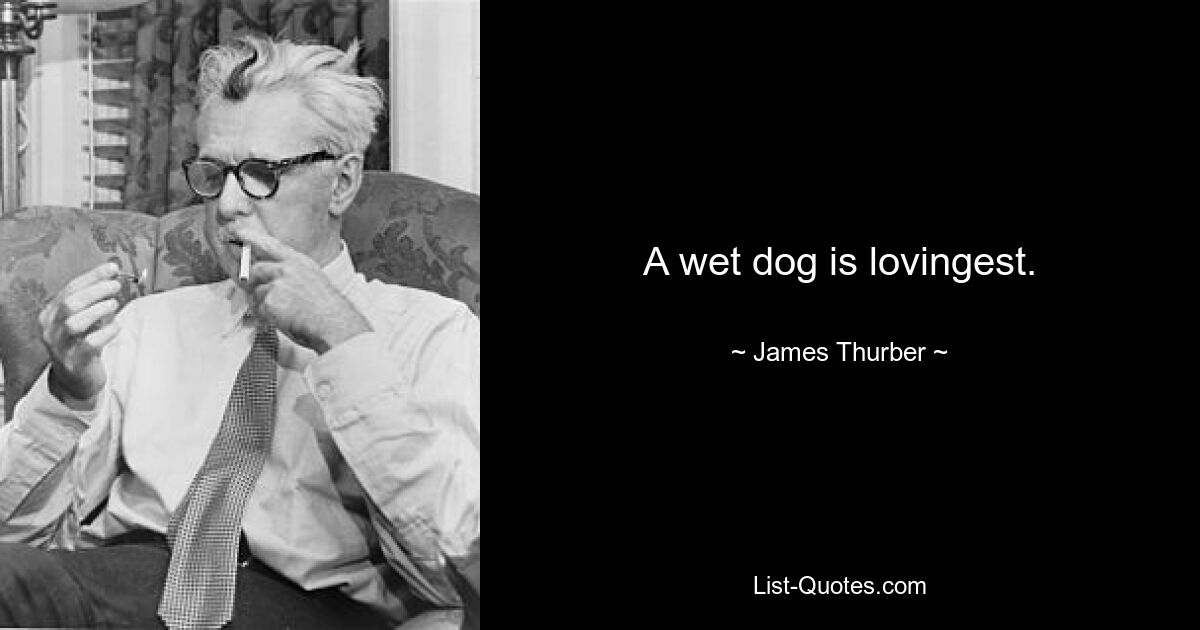 A wet dog is lovingest. — © James Thurber