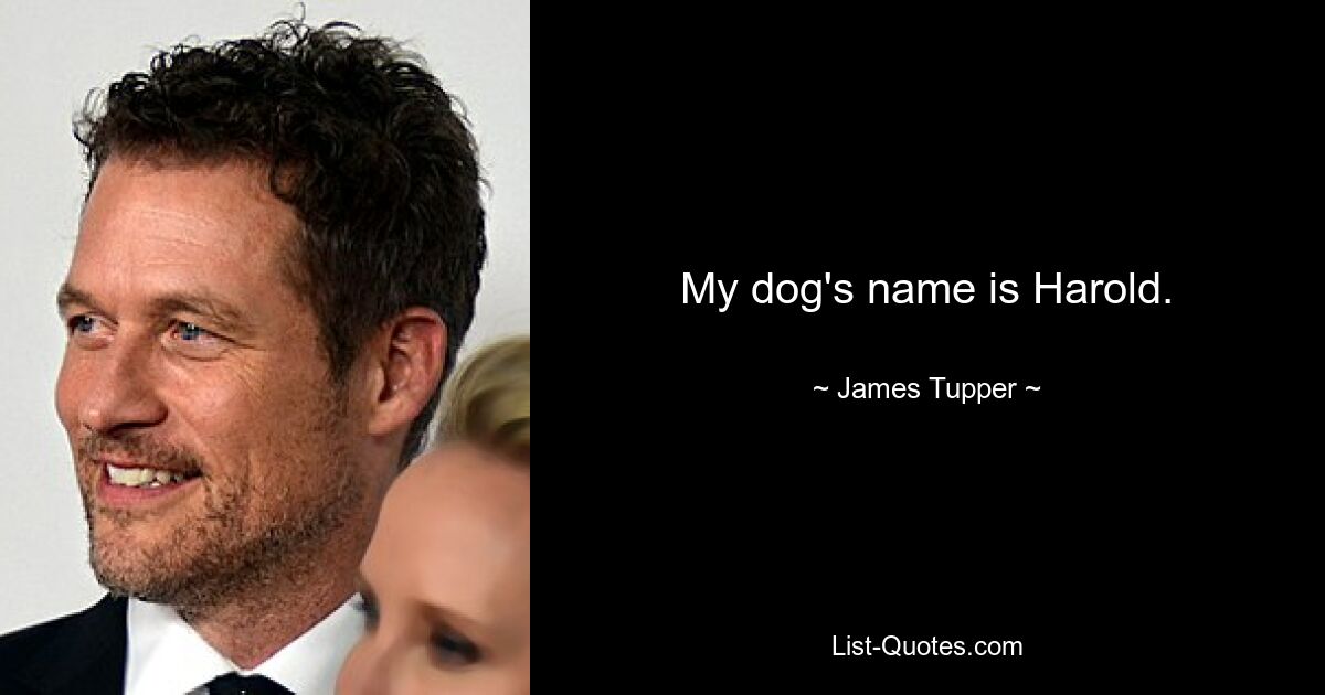 My dog's name is Harold. — © James Tupper