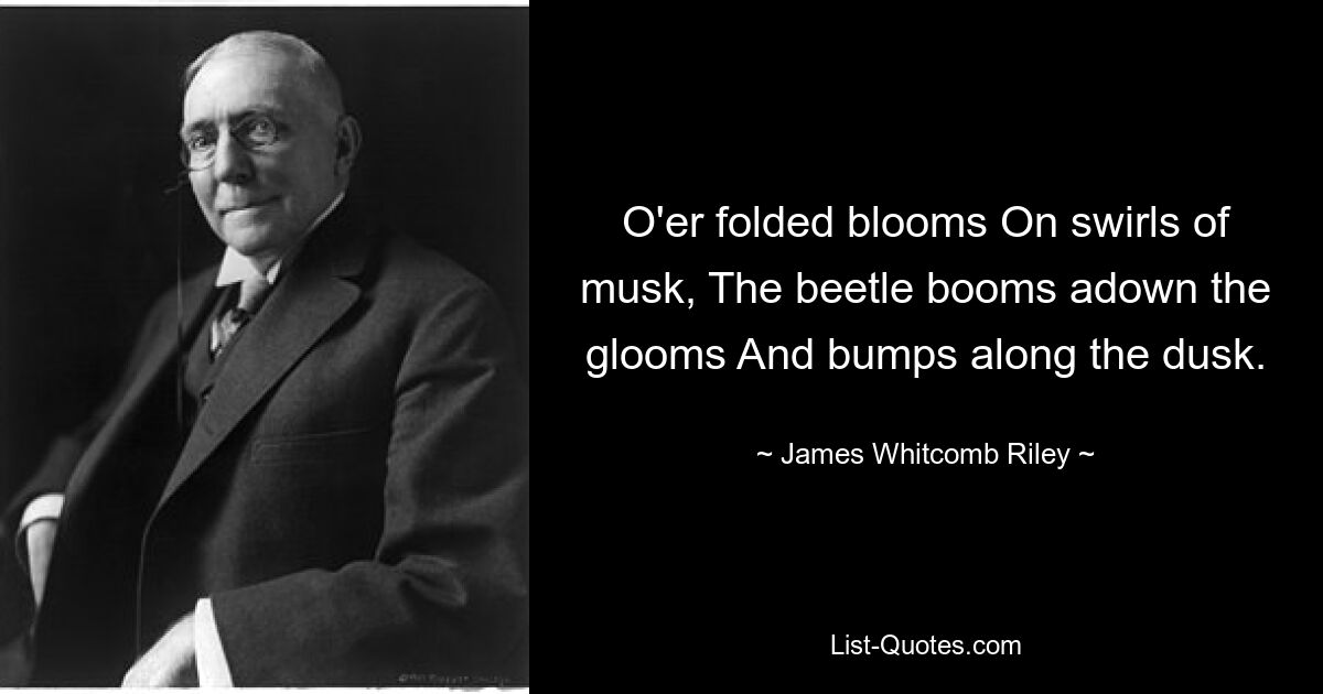 O'er folded blooms On swirls of musk, The beetle booms adown the glooms And bumps along the dusk. — © James Whitcomb Riley