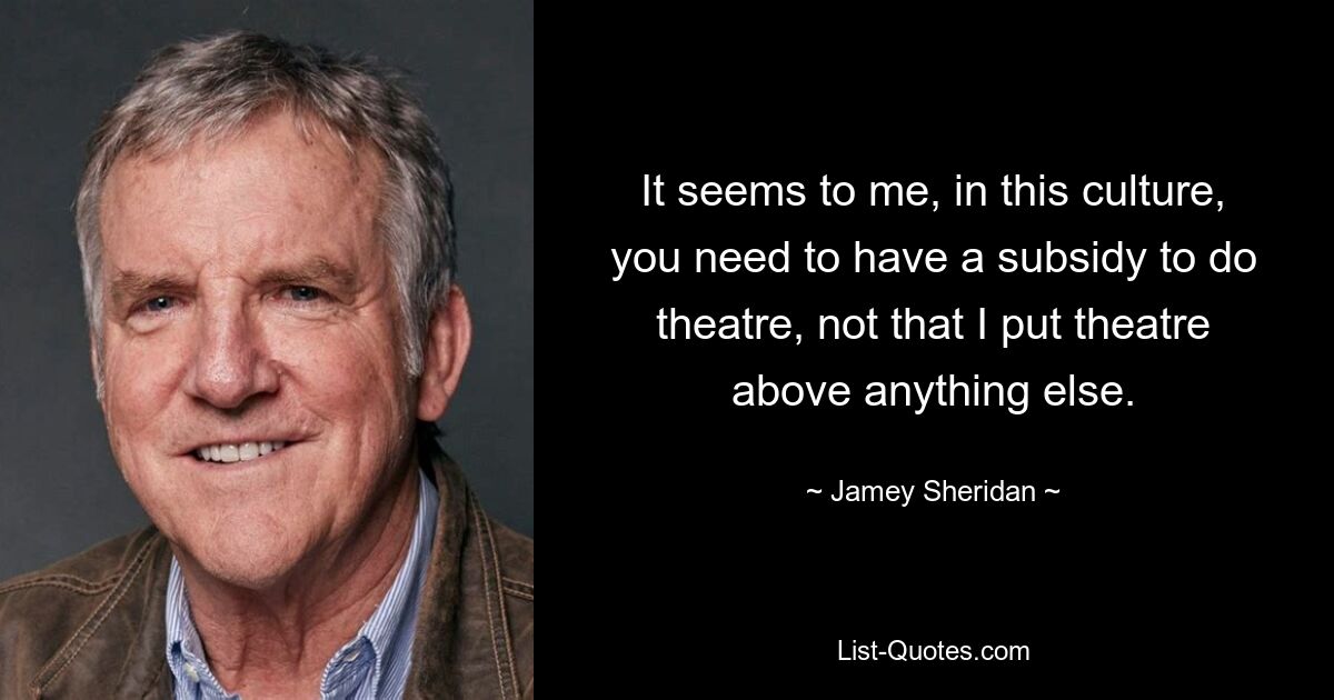 It seems to me, in this culture, you need to have a subsidy to do theatre, not that I put theatre above anything else. — © Jamey Sheridan