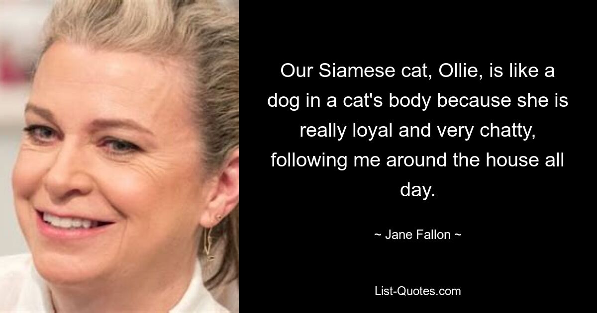 Our Siamese cat, Ollie, is like a dog in a cat's body because she is really loyal and very chatty, following me around the house all day. — © Jane Fallon