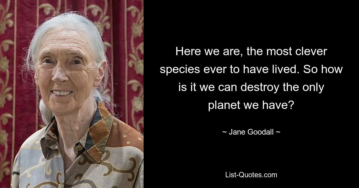 Here we are, the most clever species ever to have lived. So how is it we can destroy the only planet we have? — © Jane Goodall