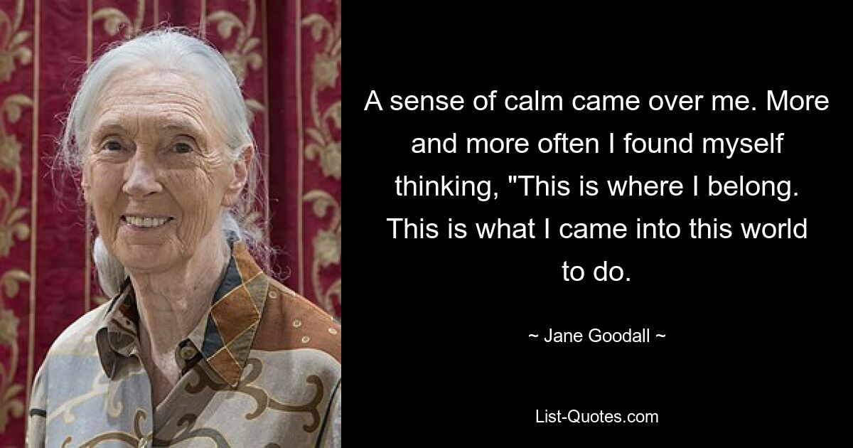 A sense of calm came over me. More and more often I found myself thinking, "This is where I belong. This is what I came into this world to do. — © Jane Goodall