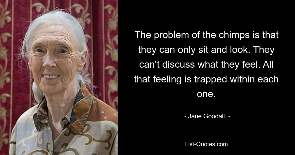 The problem of the chimps is that they can only sit and look. They can't discuss what they feel. All that feeling is trapped within each one. — © Jane Goodall