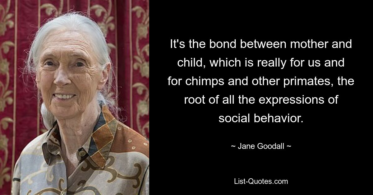 It's the bond between mother and child, which is really for us and for chimps and other primates, the root of all the expressions of social behavior. — © Jane Goodall