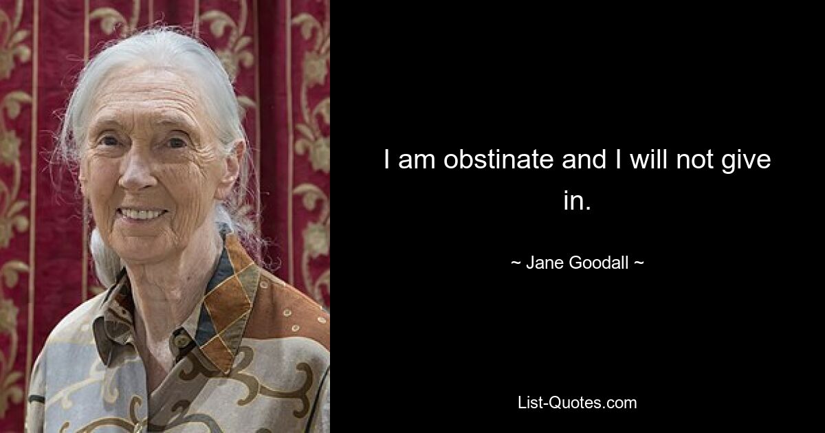 I am obstinate and I will not give in. — © Jane Goodall