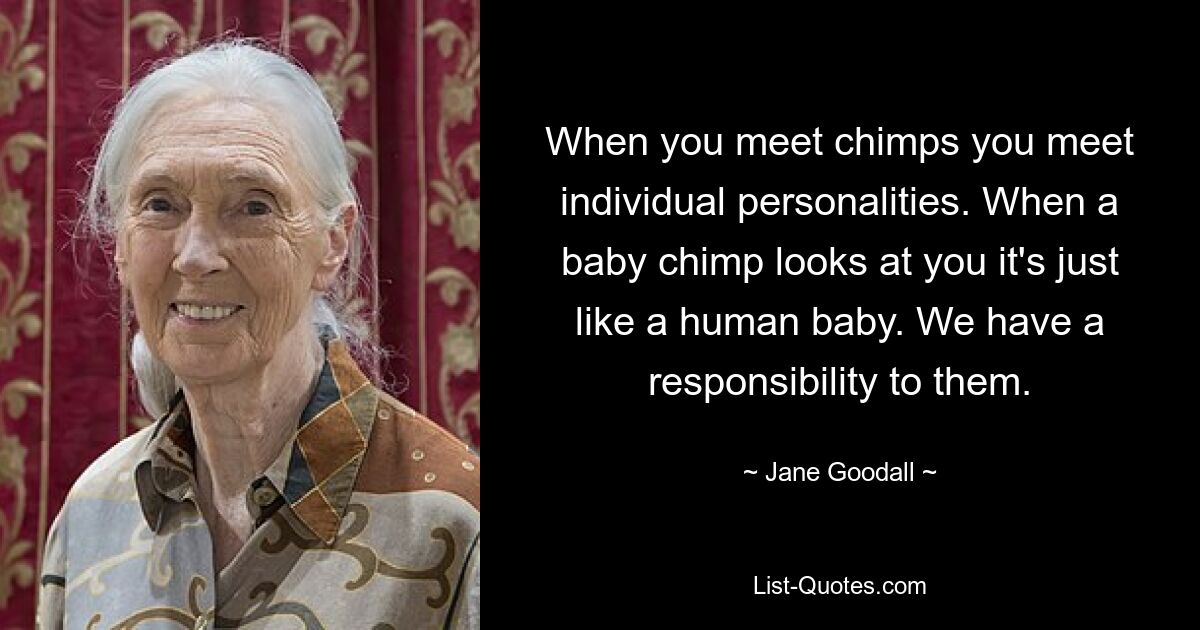 When you meet chimps you meet individual personalities. When a baby chimp looks at you it's just like a human baby. We have a responsibility to them. — © Jane Goodall