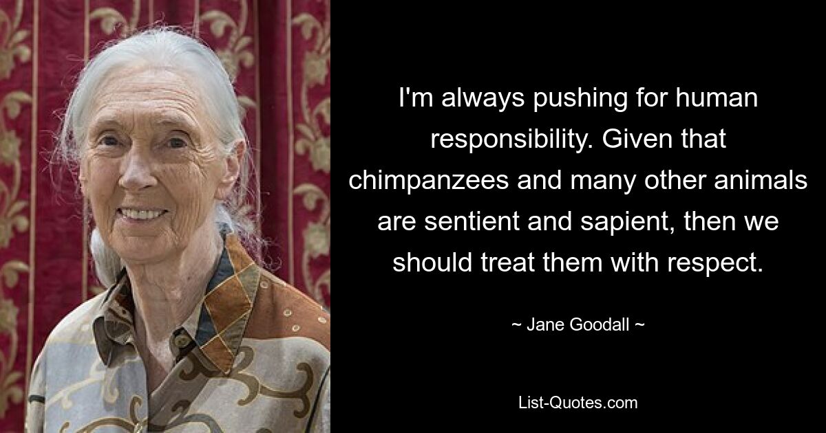 I'm always pushing for human responsibility. Given that chimpanzees and many other animals are sentient and sapient, then we should treat them with respect. — © Jane Goodall