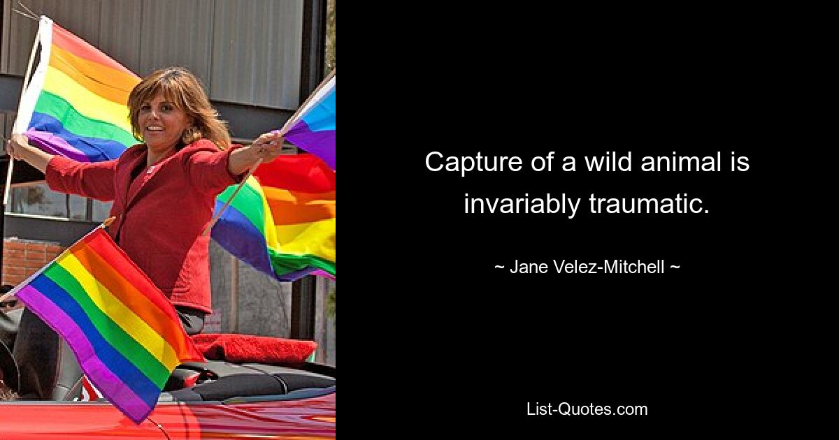 Capture of a wild animal is invariably traumatic. — © Jane Velez-Mitchell