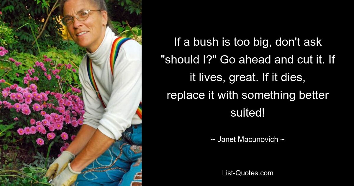 If a bush is too big, don't ask "should I?" Go ahead and cut it. If it lives, great. If it dies, replace it with something better suited! — © Janet Macunovich