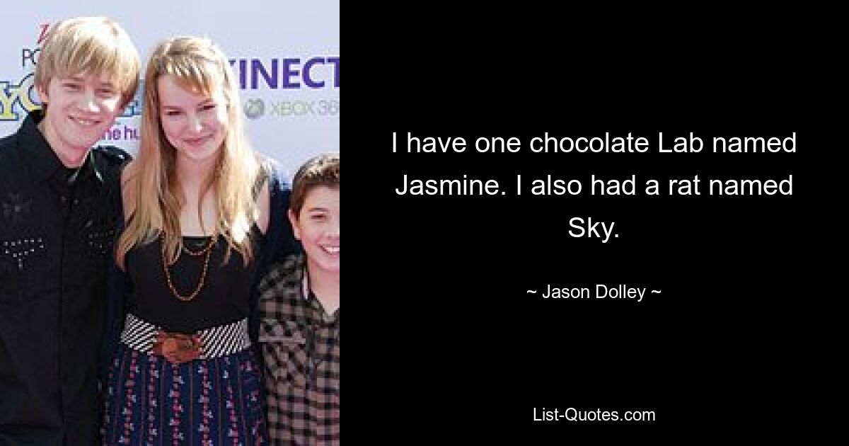 I have one chocolate Lab named Jasmine. I also had a rat named Sky. — © Jason Dolley