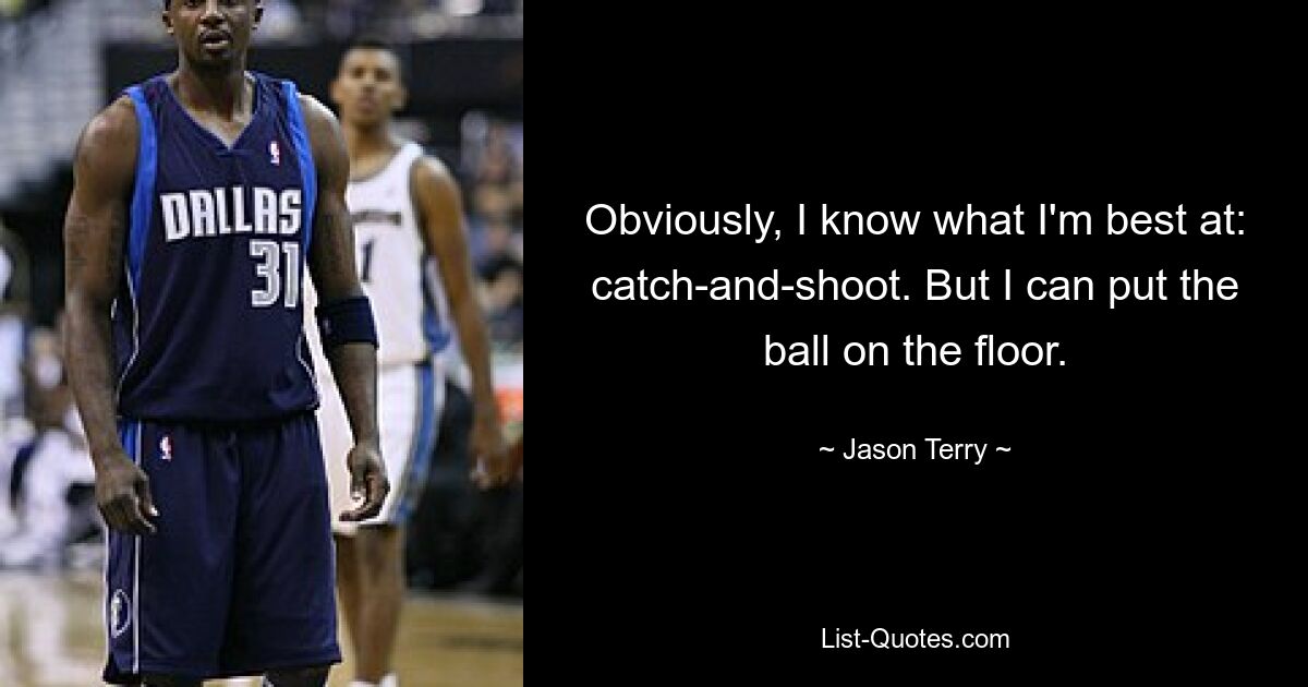 Natürlich weiß ich, was ich am besten kann: Fangen und Schießen. Aber ich kann den Ball auf den Boden legen. — © Jason Terry