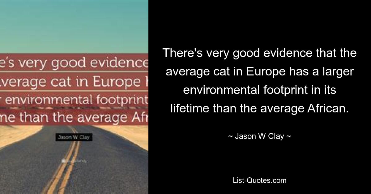 There's very good evidence that the average cat in Europe has a larger environmental footprint in its lifetime than the average African. — © Jason W Clay