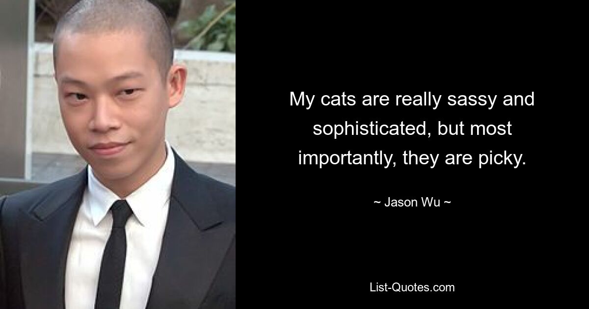 My cats are really sassy and sophisticated, but most importantly, they are picky. — © Jason Wu