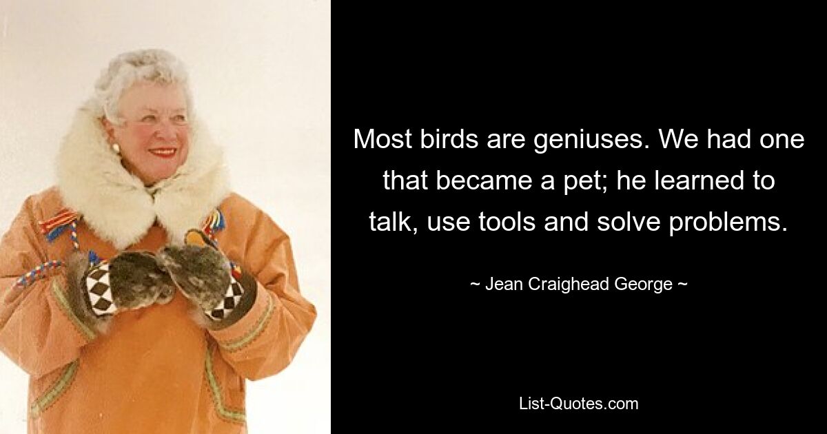 Most birds are geniuses. We had one that became a pet; he learned to talk, use tools and solve problems. — © Jean Craighead George