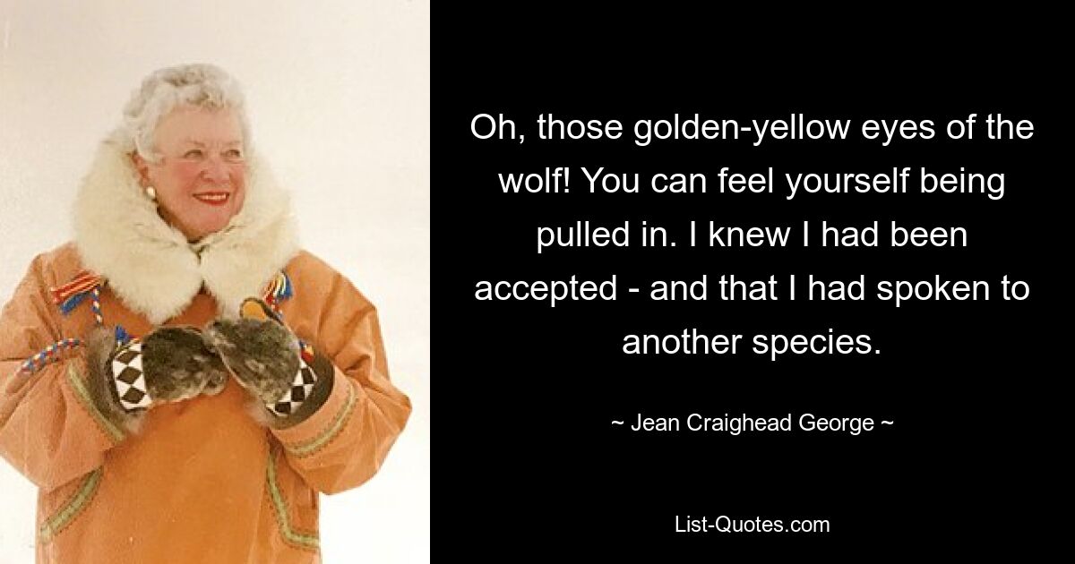 Oh, those golden-yellow eyes of the wolf! You can feel yourself being pulled in. I knew I had been accepted - and that I had spoken to another species. — © Jean Craighead George