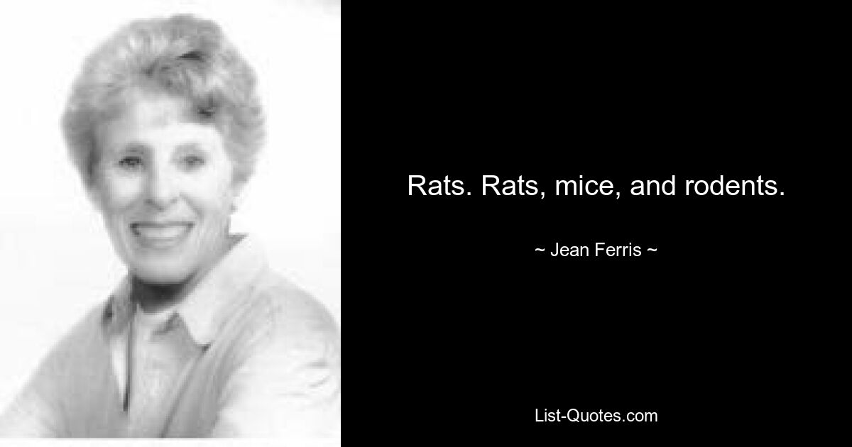 Rats. Rats, mice, and rodents. — © Jean Ferris