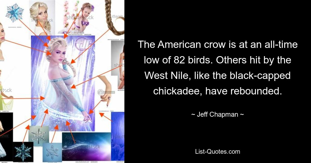 The American crow is at an all-time low of 82 birds. Others hit by the West Nile, like the black-capped chickadee, have rebounded. — © Jeff Chapman