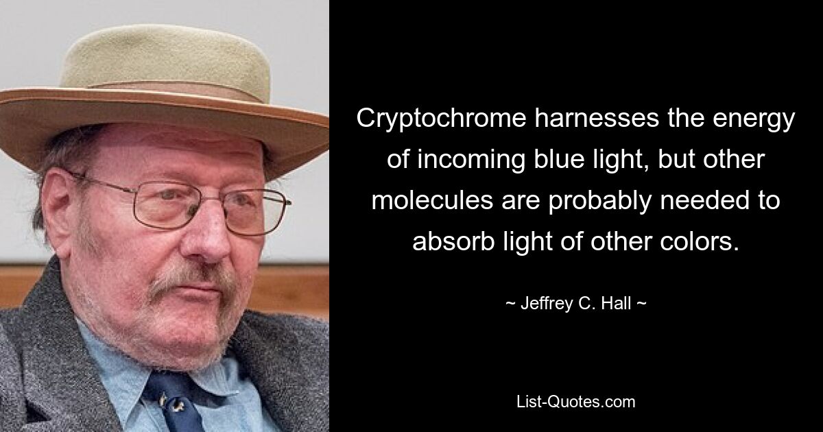 Cryptochrome harnesses the energy of incoming blue light, but other molecules are probably needed to absorb light of other colors. — © Jeffrey C. Hall