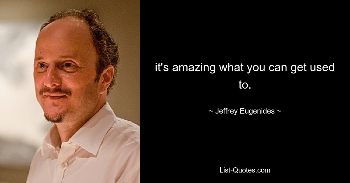 it's amazing what you can get used to. — © Jeffrey Eugenides