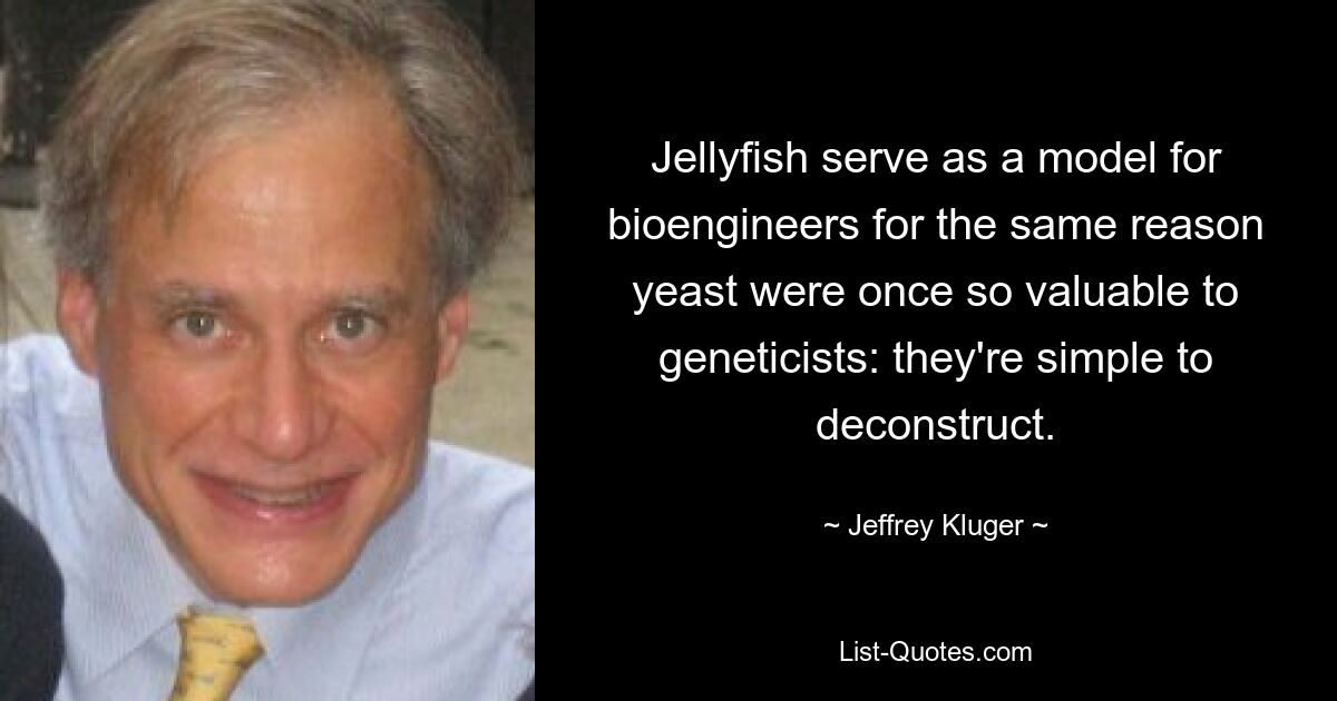 Jellyfish serve as a model for bioengineers for the same reason yeast were once so valuable to geneticists: they're simple to deconstruct. — © Jeffrey Kluger