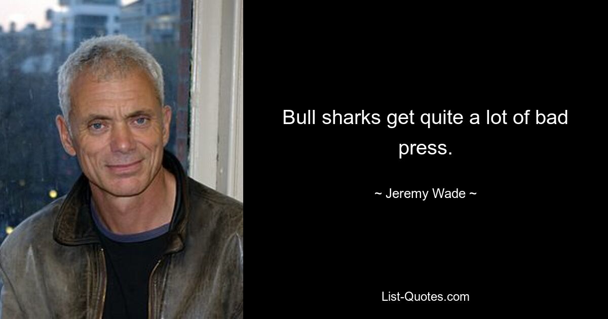 Bull sharks get quite a lot of bad press. — © Jeremy Wade