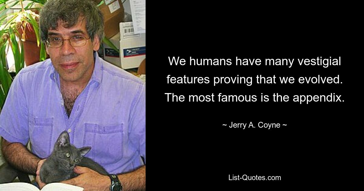 We humans have many vestigial features proving that we evolved. The most famous is the appendix. — © Jerry A. Coyne