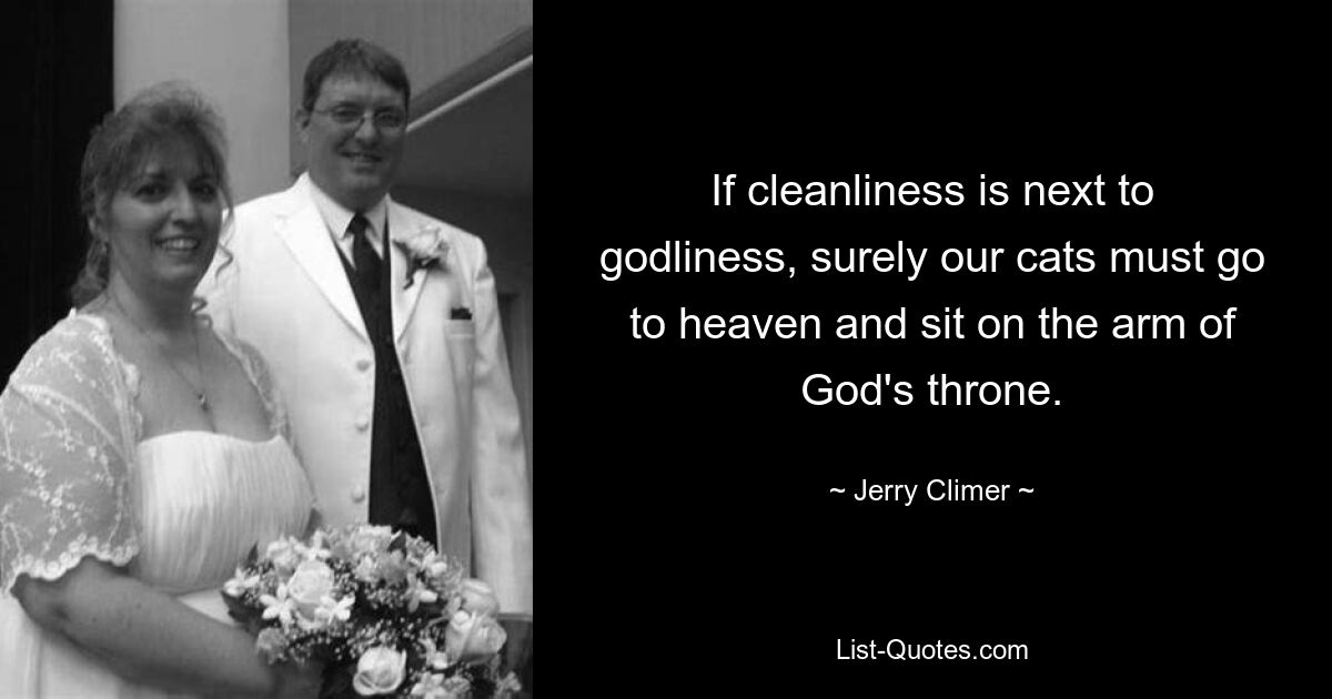 If cleanliness is next to godliness, surely our cats must go to heaven and sit on the arm of God's throne. — © Jerry Climer