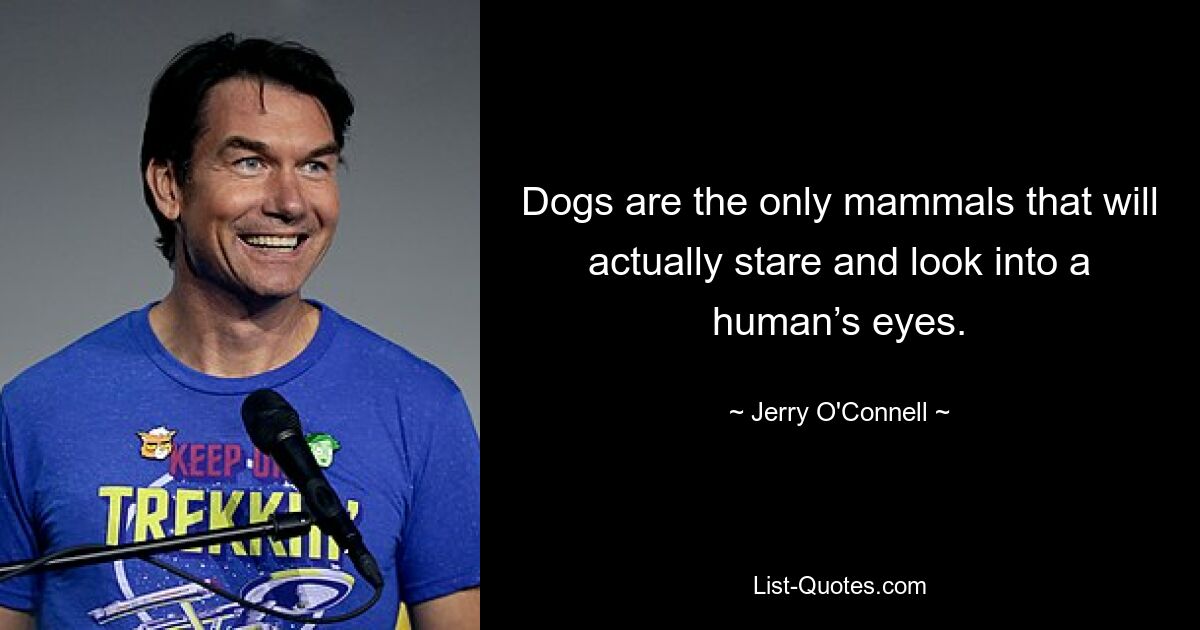 Dogs are the only mammals that will actually stare and look into a human’s eyes. — © Jerry O'Connell