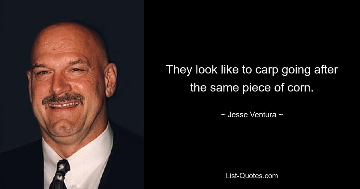 They look like to carp going after the same piece of corn. — © Jesse Ventura