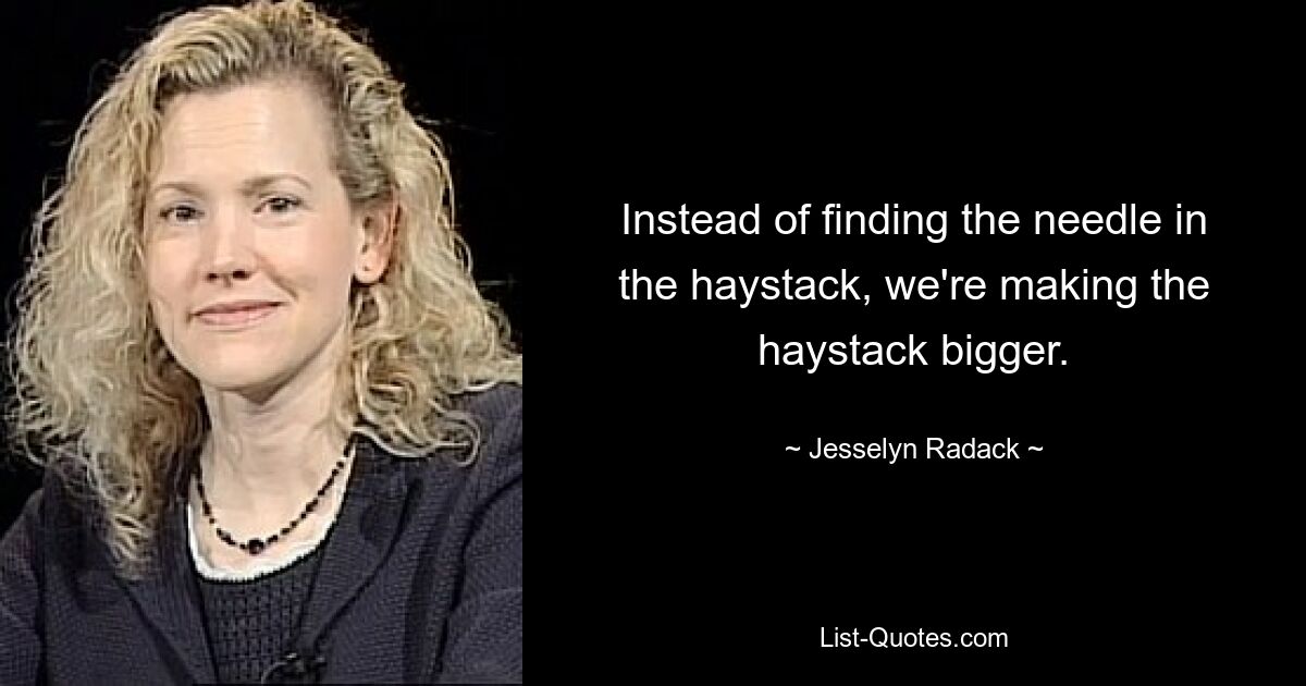 Instead of finding the needle in the haystack, we're making the haystack bigger. — © Jesselyn Radack