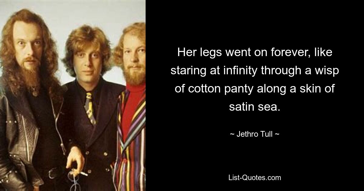 Her legs went on forever, like staring at infinity through a wisp of cotton panty along a skin of satin sea. — © Jethro Tull