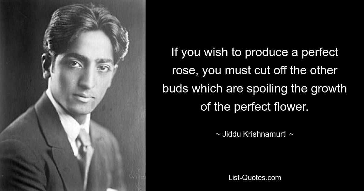 If you wish to produce a perfect rose, you must cut off the other buds which are spoiling the growth of the perfect flower. — © Jiddu Krishnamurti