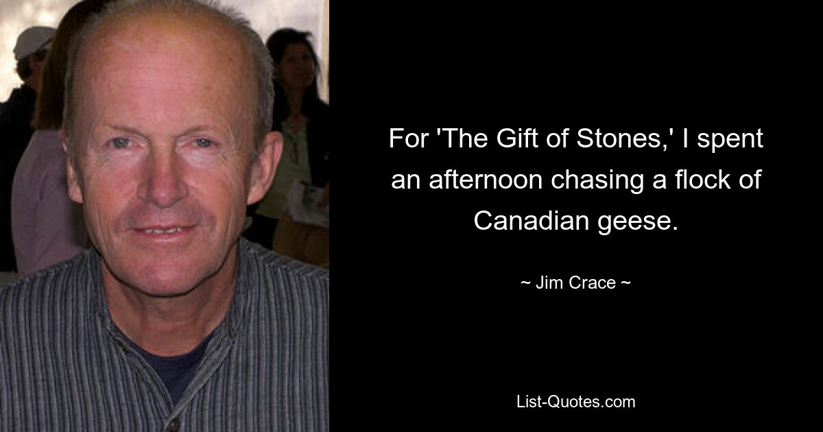 For 'The Gift of Stones,' I spent an afternoon chasing a flock of Canadian geese. — © Jim Crace