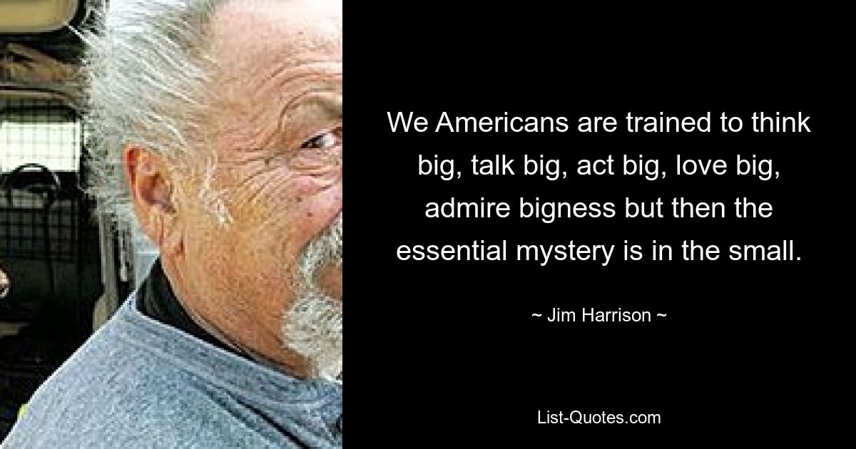 We Americans are trained to think big, talk big, act big, love big, admire bigness but then the essential mystery is in the small. — © Jim Harrison