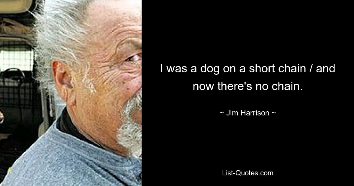 I was a dog on a short chain / and now there's no chain. — © Jim Harrison