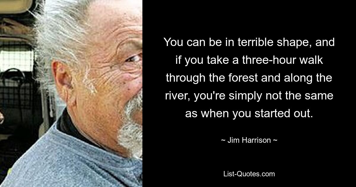 You can be in terrible shape, and if you take a three-hour walk through the forest and along the river, you're simply not the same as when you started out. — © Jim Harrison