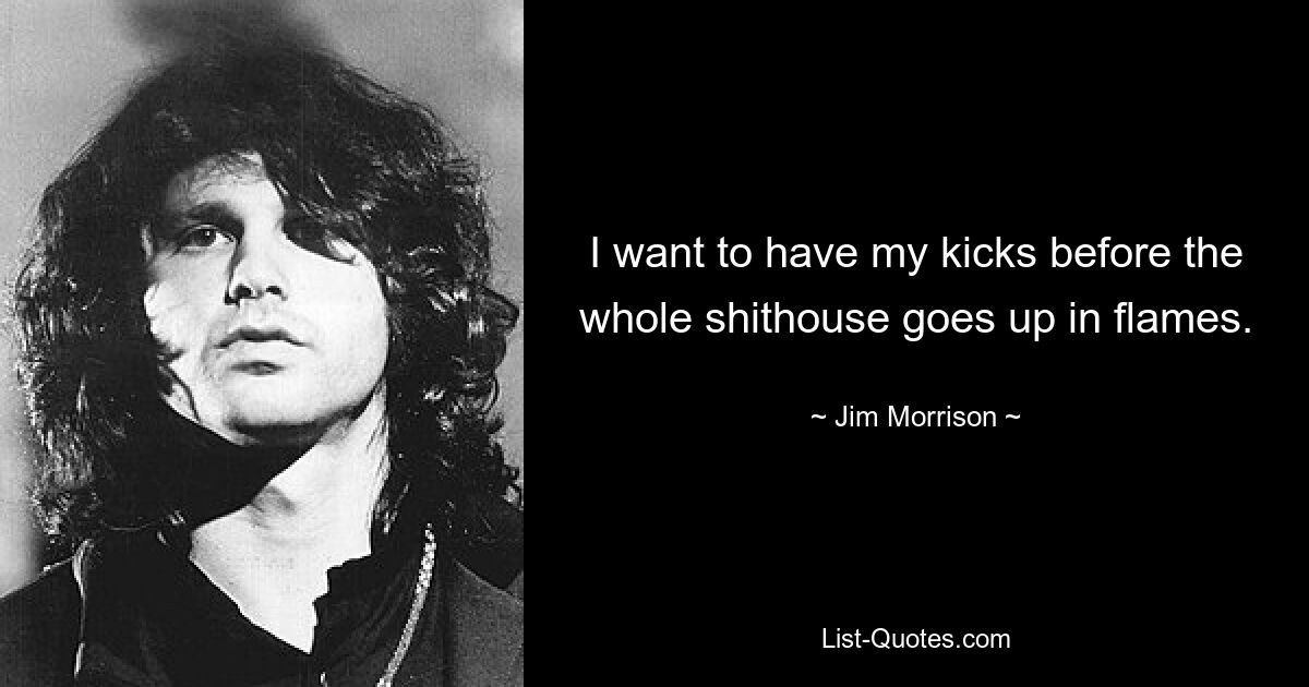 I want to have my kicks before the whole shithouse goes up in flames. — © Jim Morrison