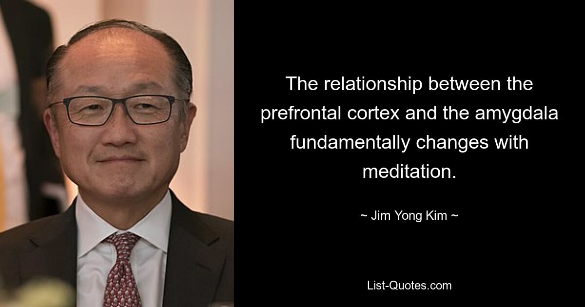 The relationship between the prefrontal cortex and the amygdala fundamentally changes with meditation. — © Jim Yong Kim