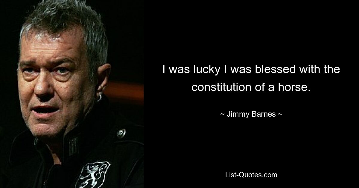 I was lucky I was blessed with the constitution of a horse. — © Jimmy Barnes