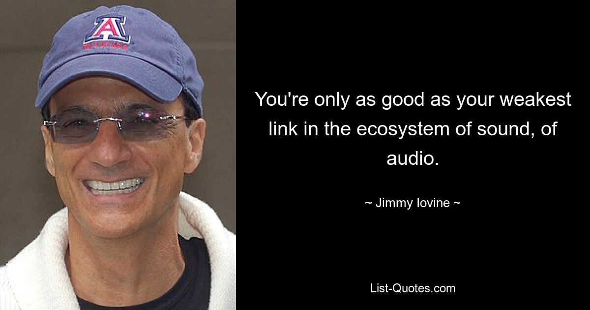 You're only as good as your weakest link in the ecosystem of sound, of audio. — © Jimmy Iovine