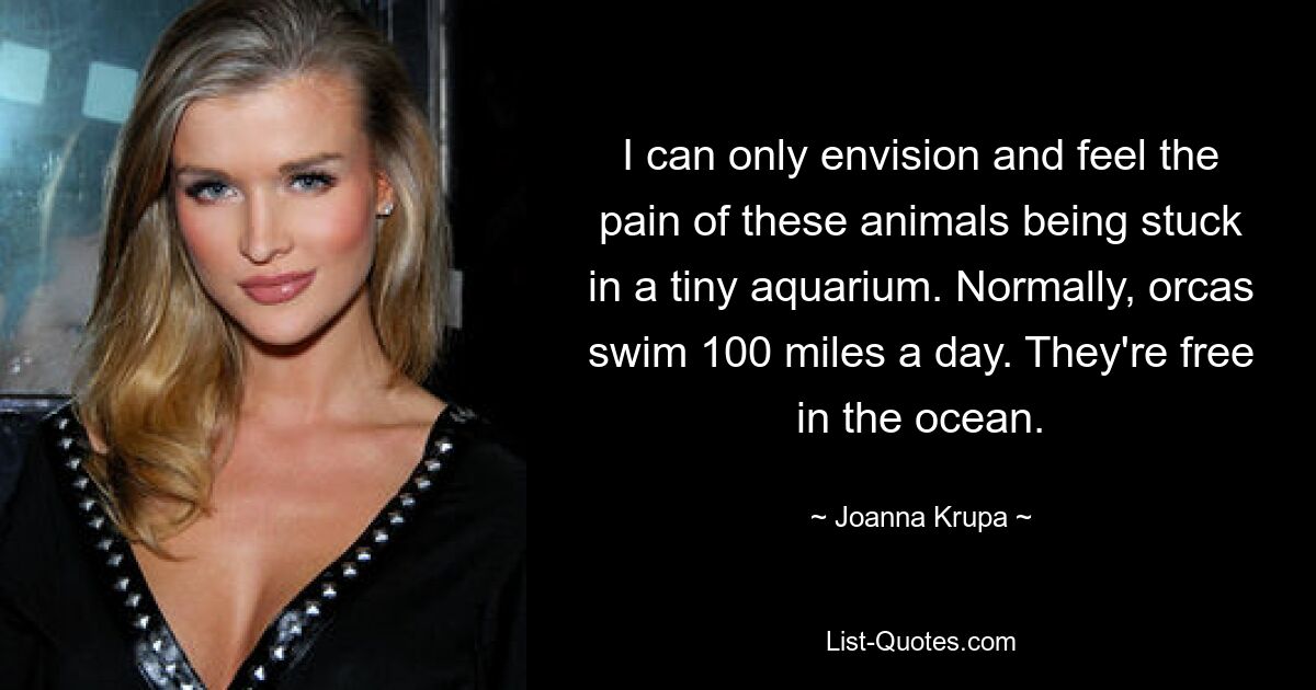 I can only envision and feel the pain of these animals being stuck in a tiny aquarium. Normally, orcas swim 100 miles a day. They're free in the ocean. — © Joanna Krupa