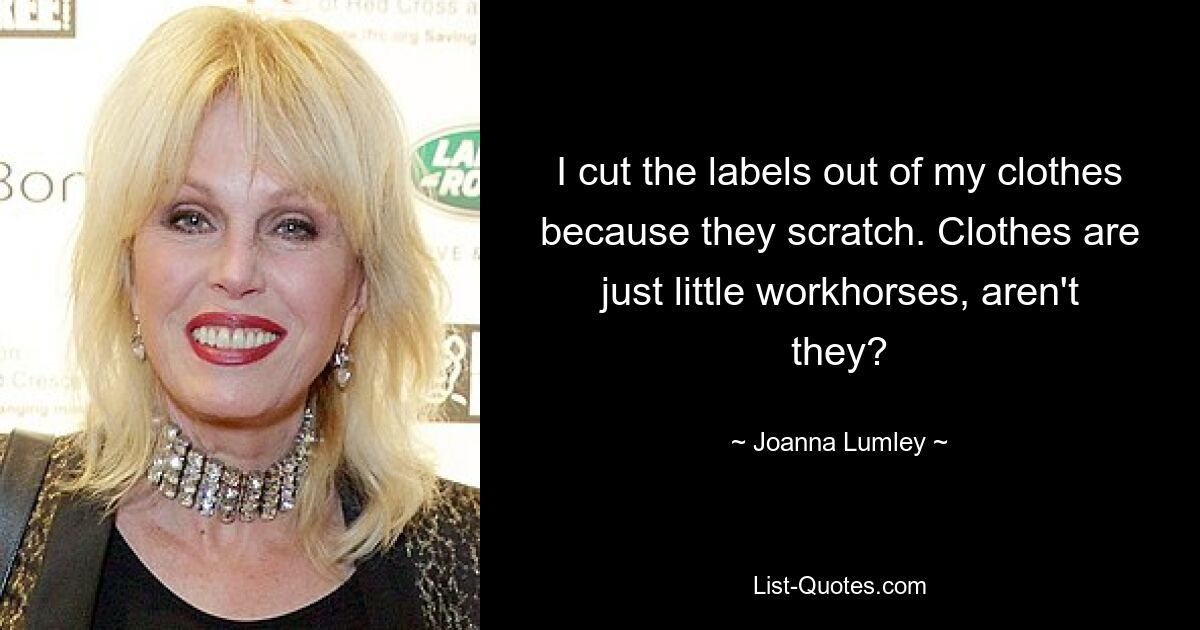 I cut the labels out of my clothes because they scratch. Clothes are just little workhorses, aren't they? — © Joanna Lumley