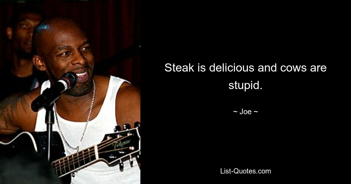 Steak is delicious and cows are stupid. — © Joe