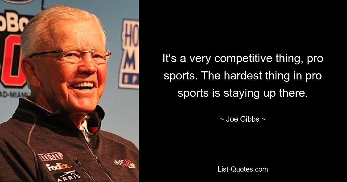 It's a very competitive thing, pro sports. The hardest thing in pro sports is staying up there. — © Joe Gibbs