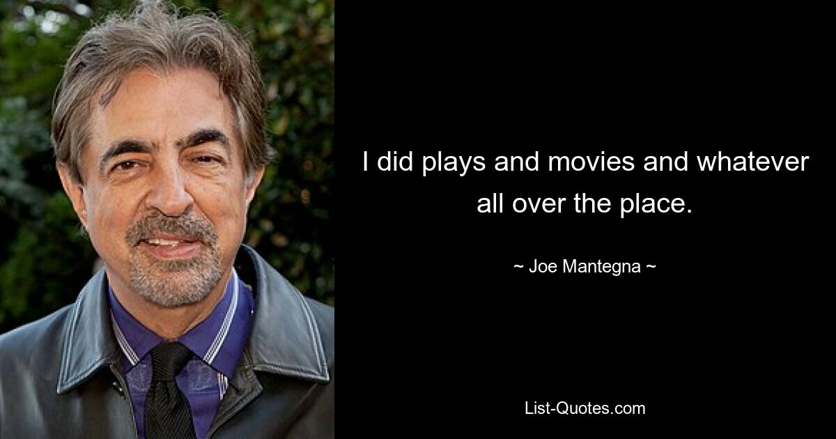 I did plays and movies and whatever all over the place. — © Joe Mantegna